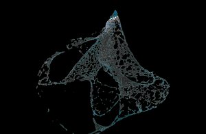 water splash explosion v1 realflow
