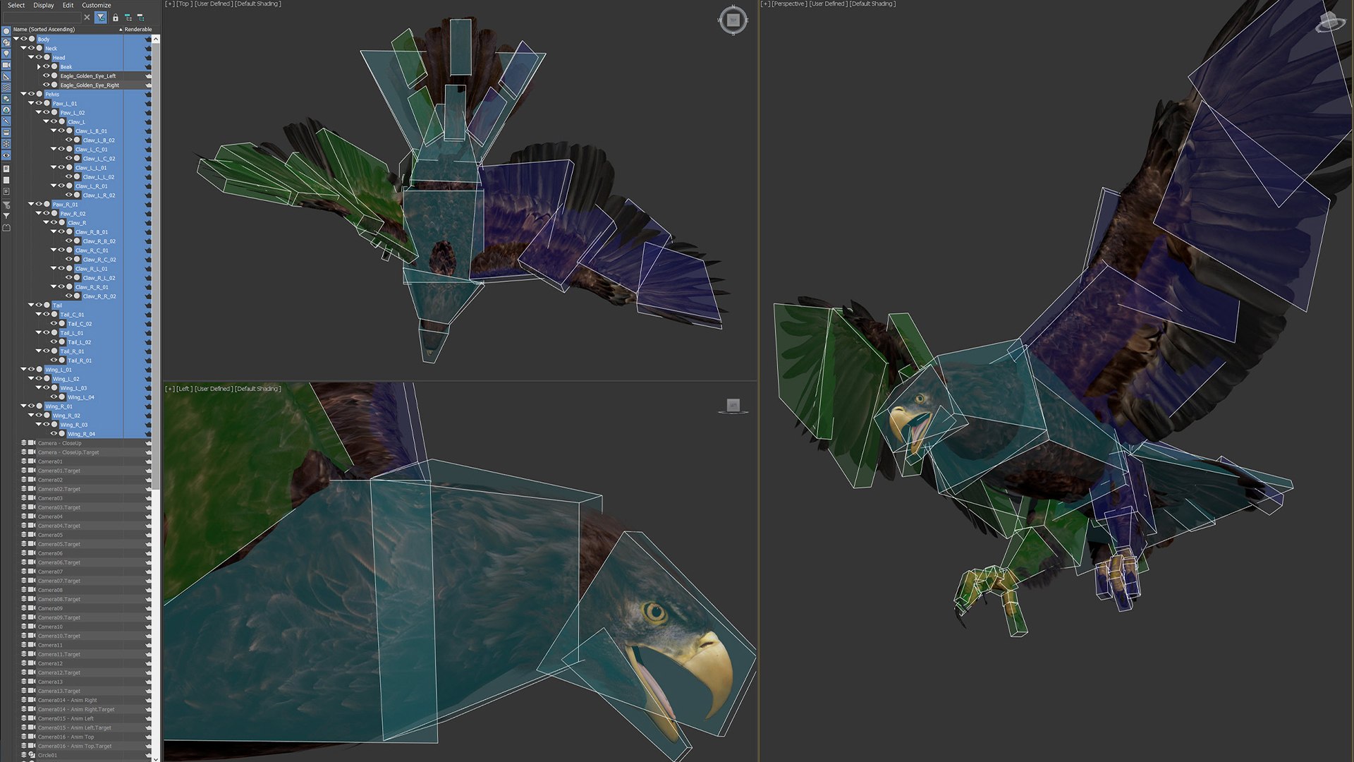 3D model Animated Eagles https://p.turbosquid.com/ts-thumb/oG/J7FK9z/77/eaglepack_16/jpg/1789468879/1920x1080/fit_q87/5a27c0dd047c2bd6d51b0bf14523b19231e566c6/eaglepack_16.jpg