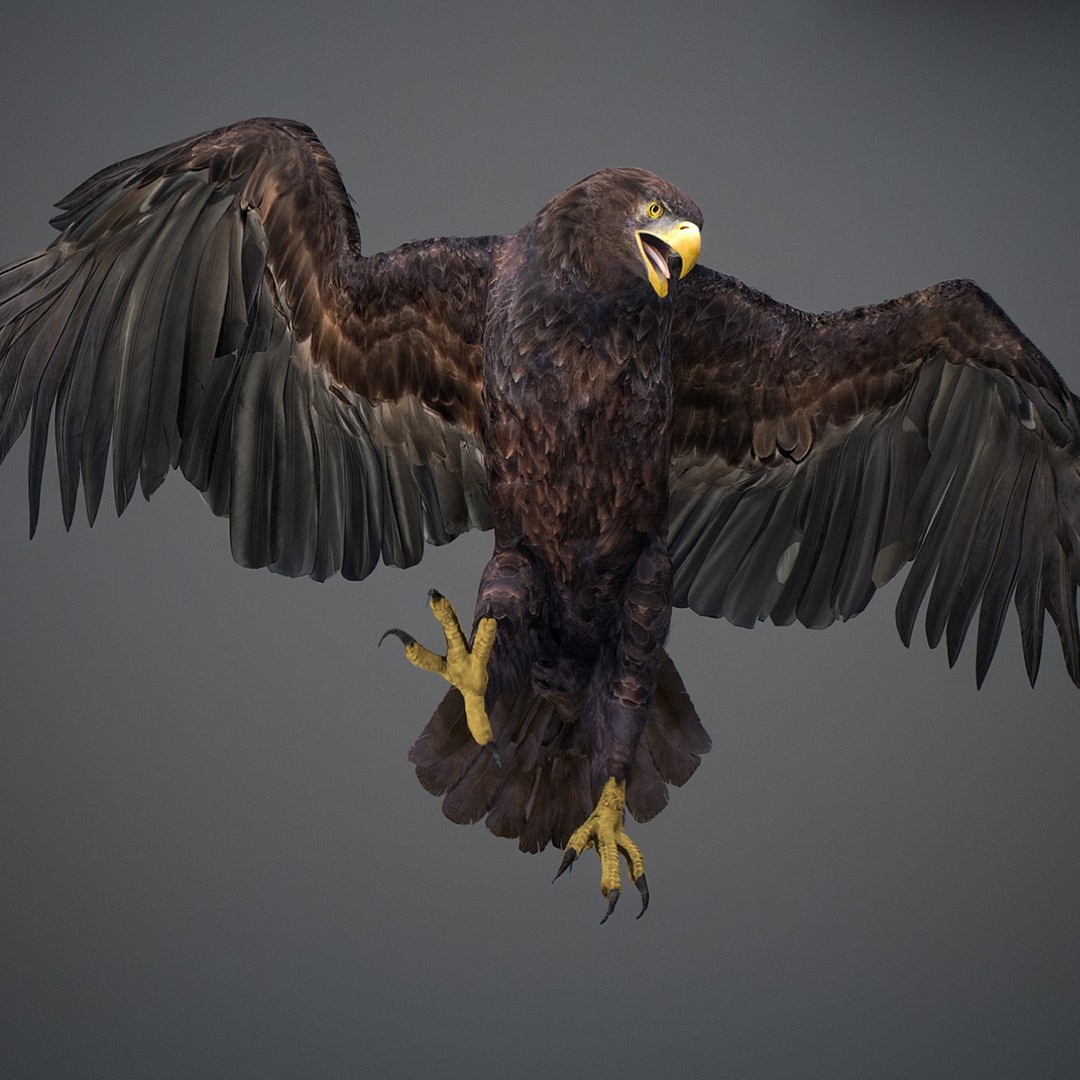 3D model Animated Eagles https://p.turbosquid.com/ts-thumb/oG/J7FK9z/Ee/eaglepack_15f/jpg/1789468878/1920x1080/fit_q87/d5f0cb81a18f3fd41ba8c70f5dc25087458d6921/eaglepack_15f.jpg