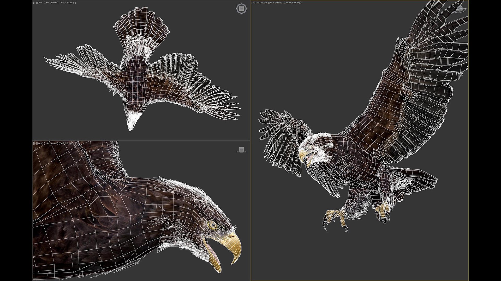 3D model Animated Eagles https://p.turbosquid.com/ts-thumb/oG/J7FK9z/Ny/eaglepack_15c/jpg/1789468877/1920x1080/fit_q87/83b1d11d6dd0121e2b0aaf09bc2f7cfb064dde8f/eaglepack_15c.jpg