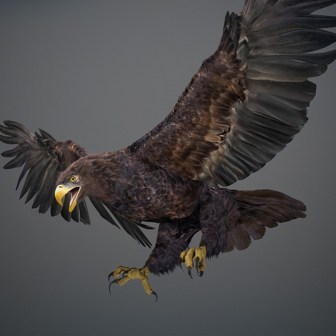 3D model Animated Eagles https://p.turbosquid.com/ts-thumb/oG/J7FK9z/Rp/eaglepack_12/jpg/1789468875/1920x1080/fit_q87/99965ec07a60da6a6bf854730996b7c7f50085ec/eaglepack_12.jpg
