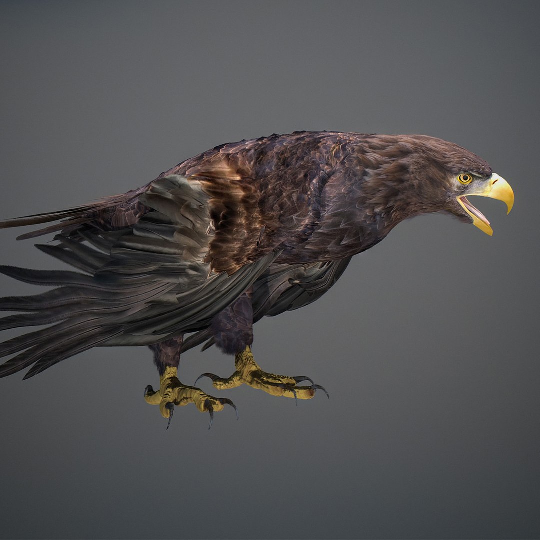 3D model Animated Eagles https://p.turbosquid.com/ts-thumb/oG/J7FK9z/g8/eaglepack_30/jpg/1789468885/1920x1080/fit_q87/76137fb1518dcc06af7732bc00064e2714e2fc8b/eaglepack_30.jpg