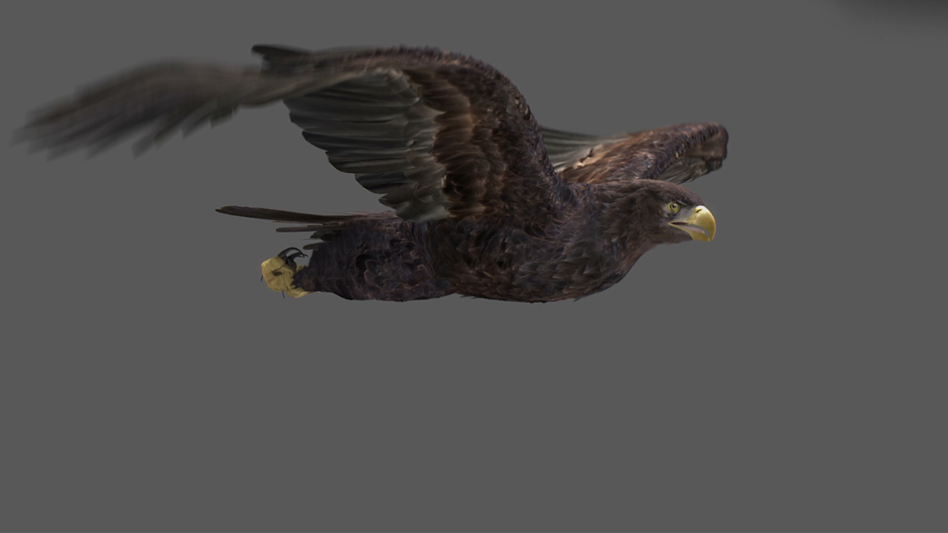 3D model Animated Eagles https://p.turbosquid.com/ts-thumb/oG/J7FK9z/jw/capture/jpg/1789468993/1920x1080/turn_fit_q99/bd7421fb3357940593dcfdc73f53bd306e1dca5d/capture-1.jpg