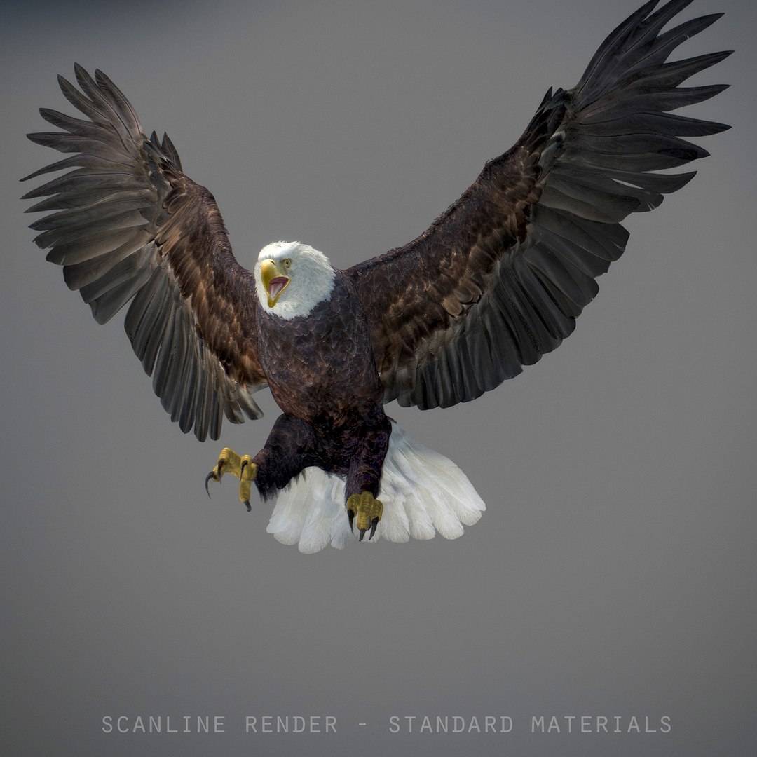 3D model Animated Eagles https://p.turbosquid.com/ts-thumb/oG/J7FK9z/qW/eaglepack_45/jpg/1789468893/1920x1080/fit_q87/71bbd6a1e2ea833a8df7a3dfd3dc92bf4358e688/eaglepack_45.jpg