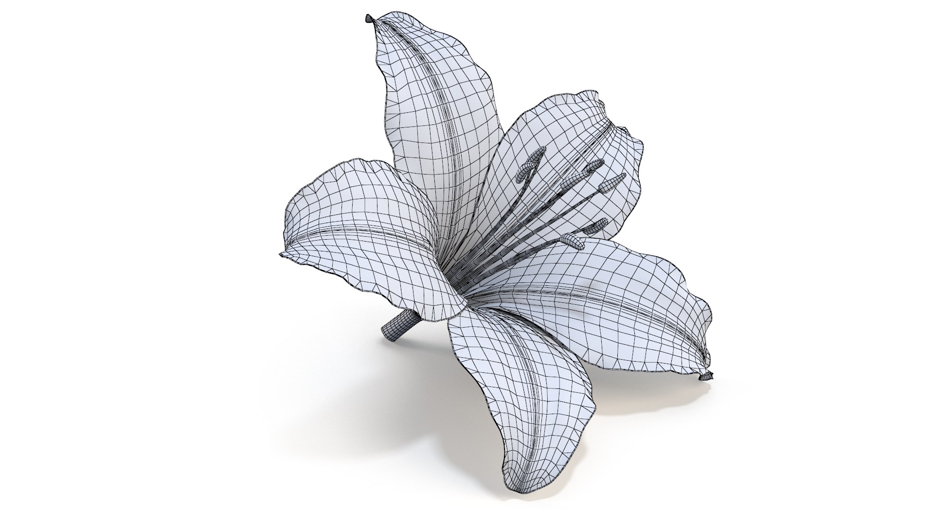 Realistic Lily 3D Model - High-Quality 4K PBR Asset 3D model https://p.turbosquid.com/ts-thumb/oG/LrepWI/mA/wire_1/jpg/1741896242/1920x1080/fit_q87/9c9c48846948c8de015ab792b626f263f2c3c16e/wire_1.jpg