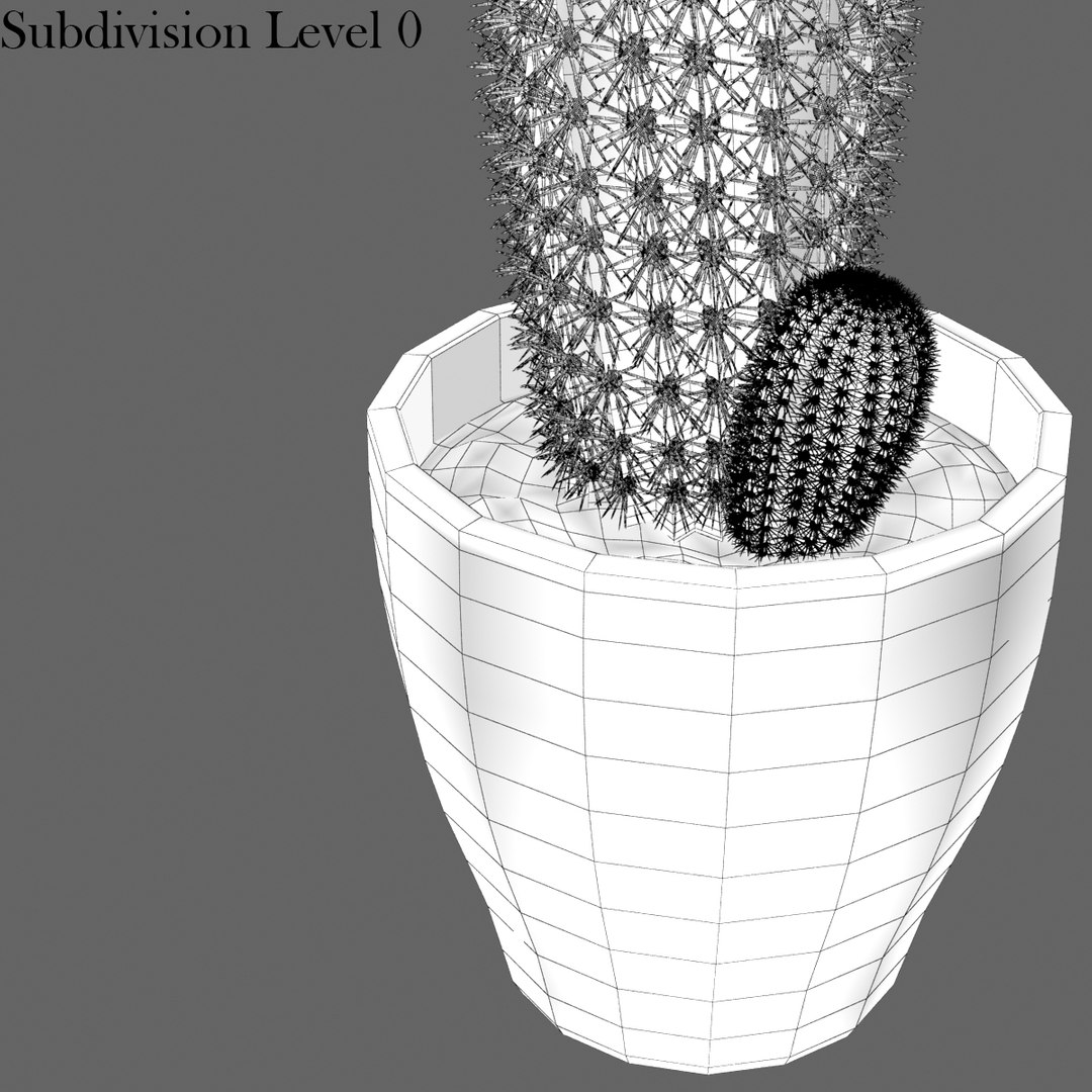 Cactus Design 3d Model