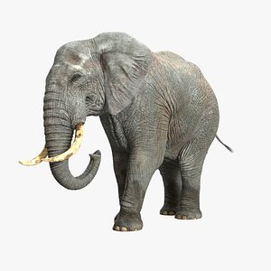 3D model Elephant RIGGED
