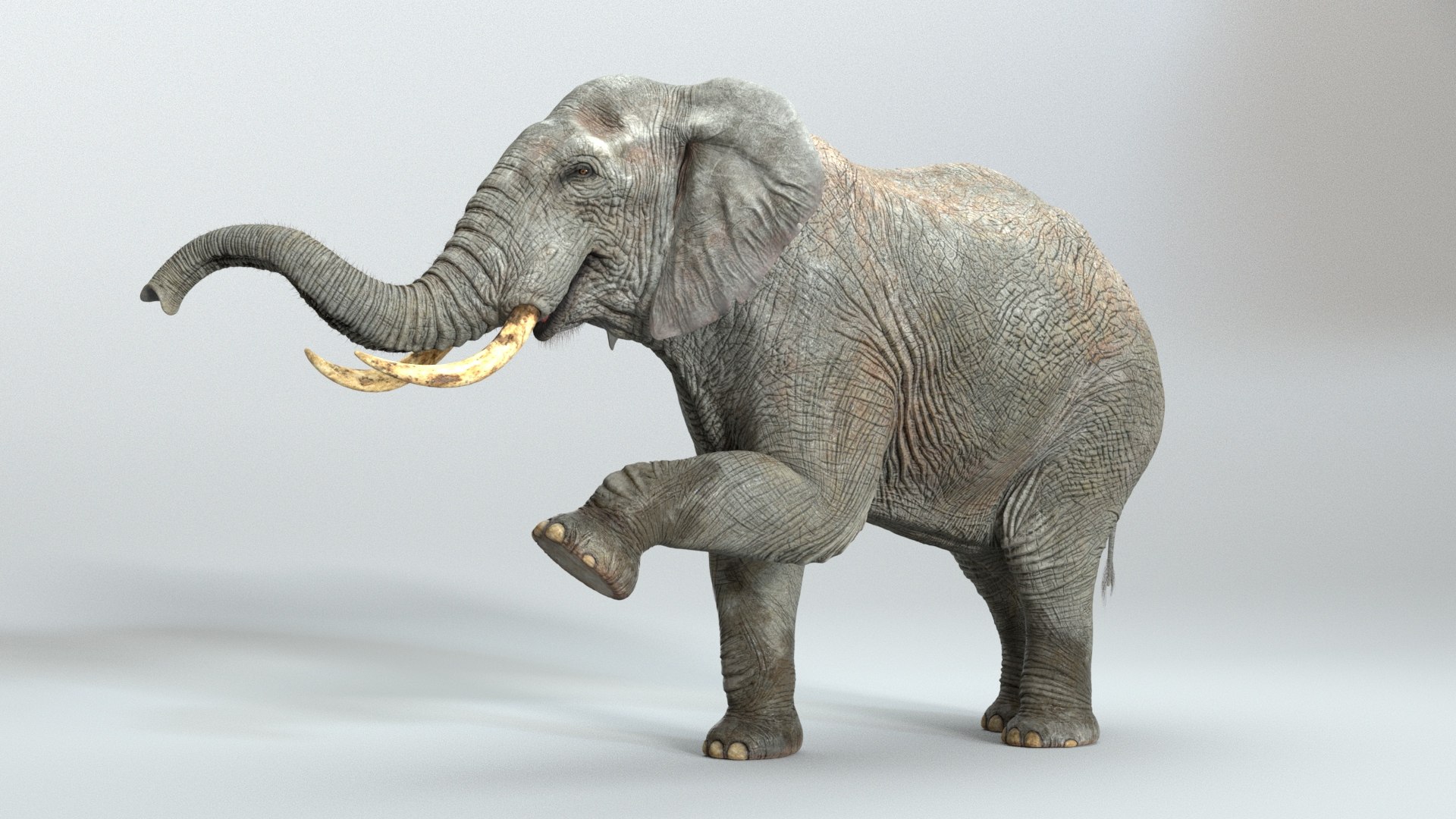 3D Model Elephant RIGGED - TurboSquid 2276350