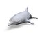 3d model simple dolphin
