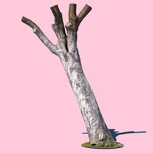 Bob Barker (3D Scan)