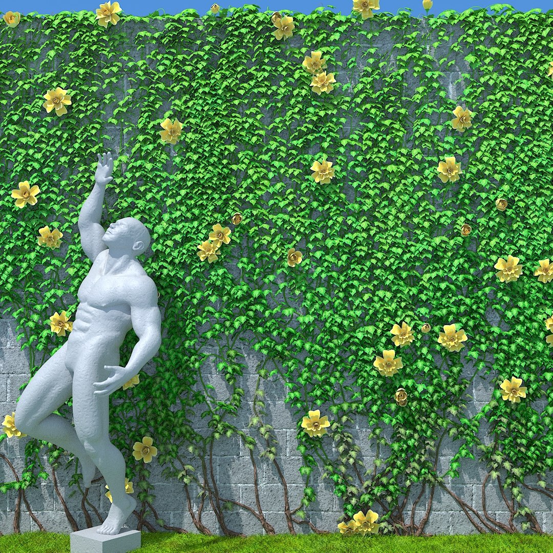 vines branchs 3D model https://p.turbosquid.com/ts-thumb/oG/fNf1Rb/QUZZM0ZA/04/jpg/1586445293/1920x1080/fit_q87/767f4cebde62158e68ab140b578e12123fdb504b/04.jpg