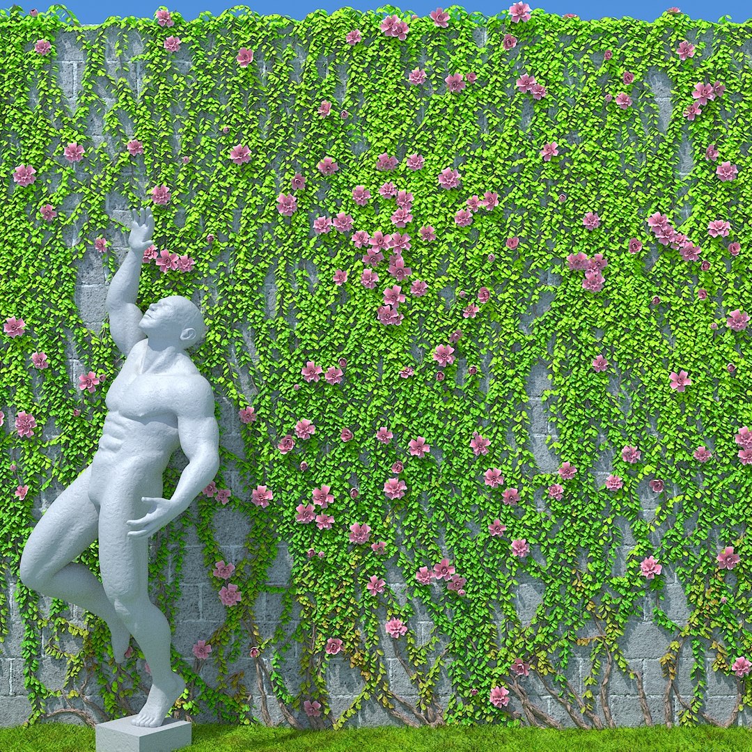 vines branchs 3D model https://p.turbosquid.com/ts-thumb/oG/fNf1Rb/bf9rJydc/02/jpg/1586445293/1920x1080/fit_q87/1779eeb98d3a3236d7cccf46dee93e45c9feaf50/02.jpg