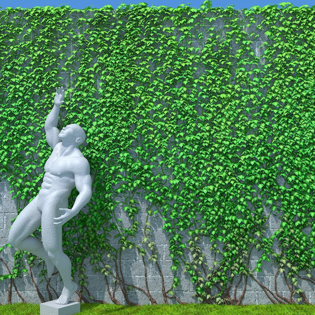 vines branchs 3D model https://p.turbosquid.com/ts-thumb/oG/fNf1Rb/l7Ep813c/01/jpg/1586445293/1920x1080/fit_q87/3679938a4ed3117774cc1bca38303989c8266874/01.jpg