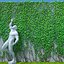 つる植物ジェネレーター