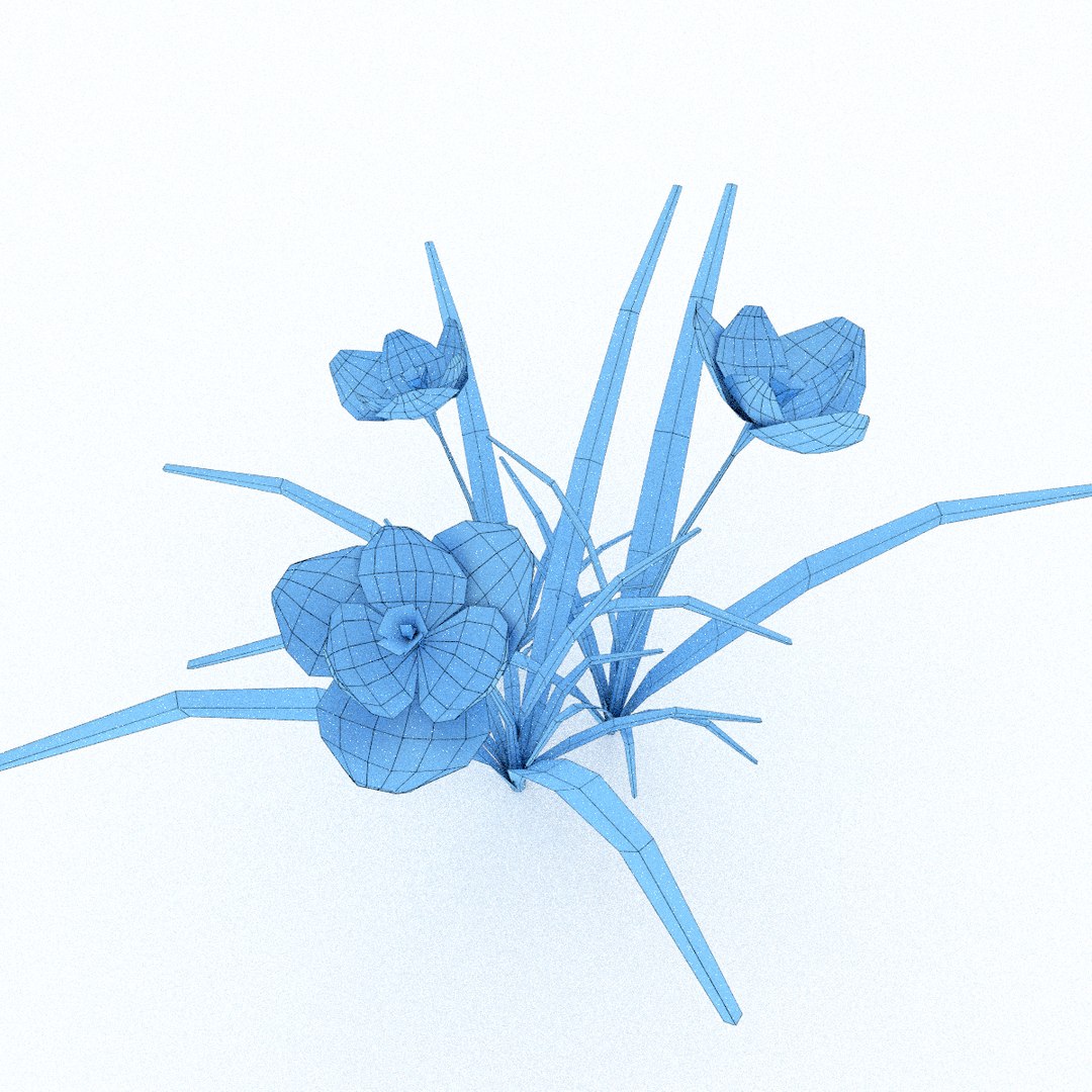 3d Realistic Crocus Model