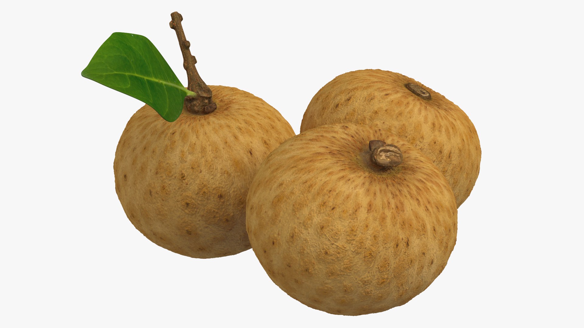 Tropical Fruit Longan Set 3D Model - TurboSquid 2198590