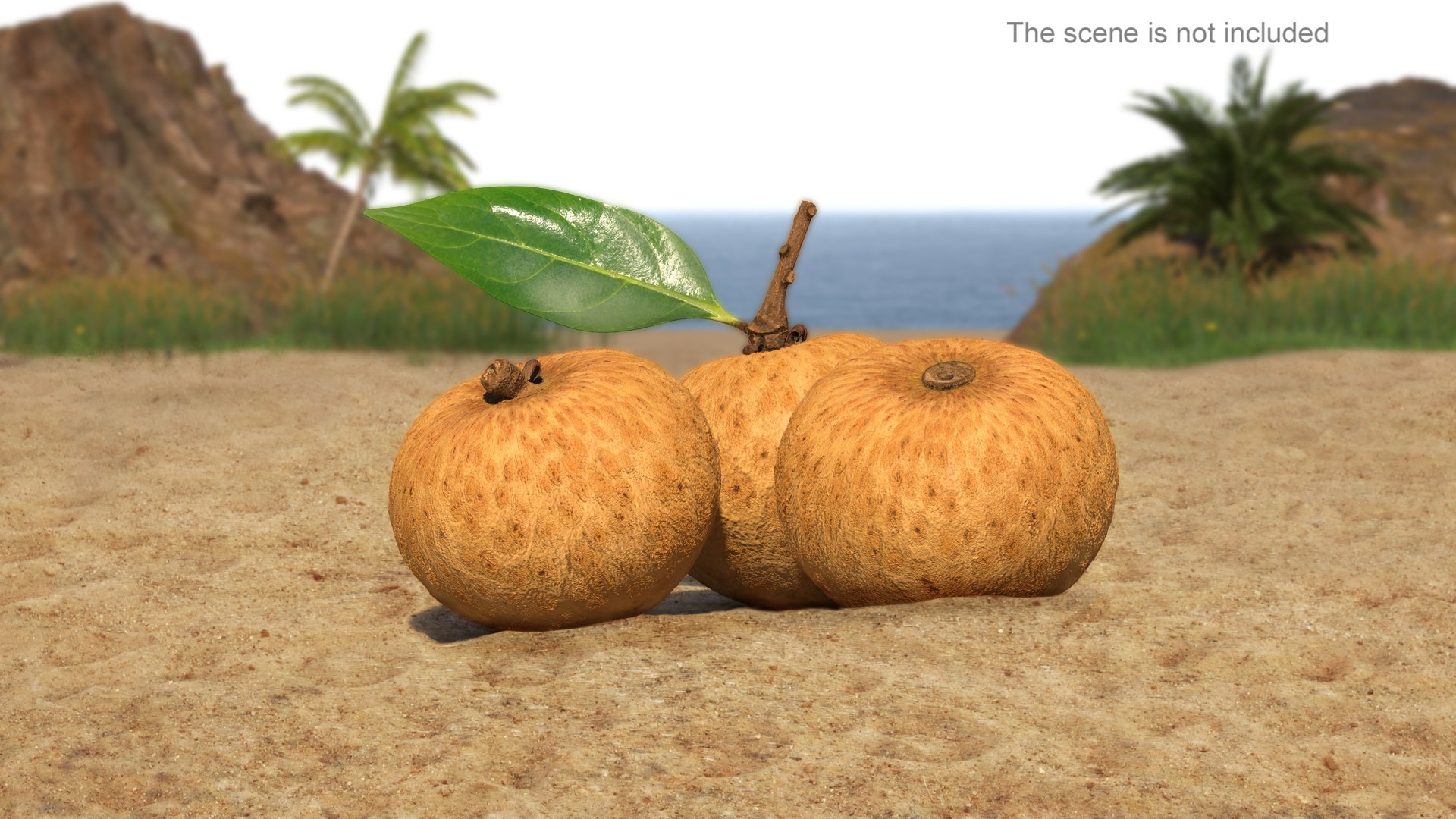 Tropical Fruit Longan Set 3D Model - TurboSquid 2198590