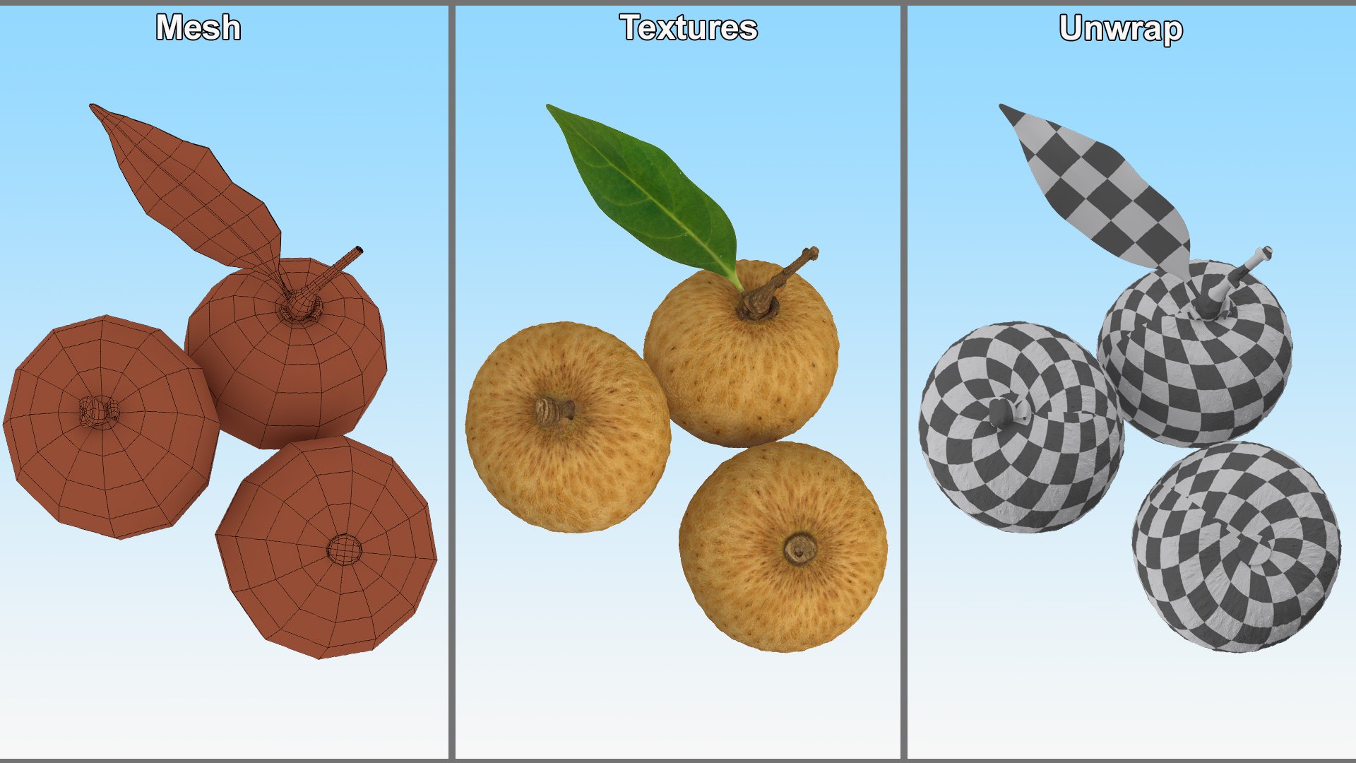 Tropical Fruit Longan Set 3D Model - TurboSquid 2198590