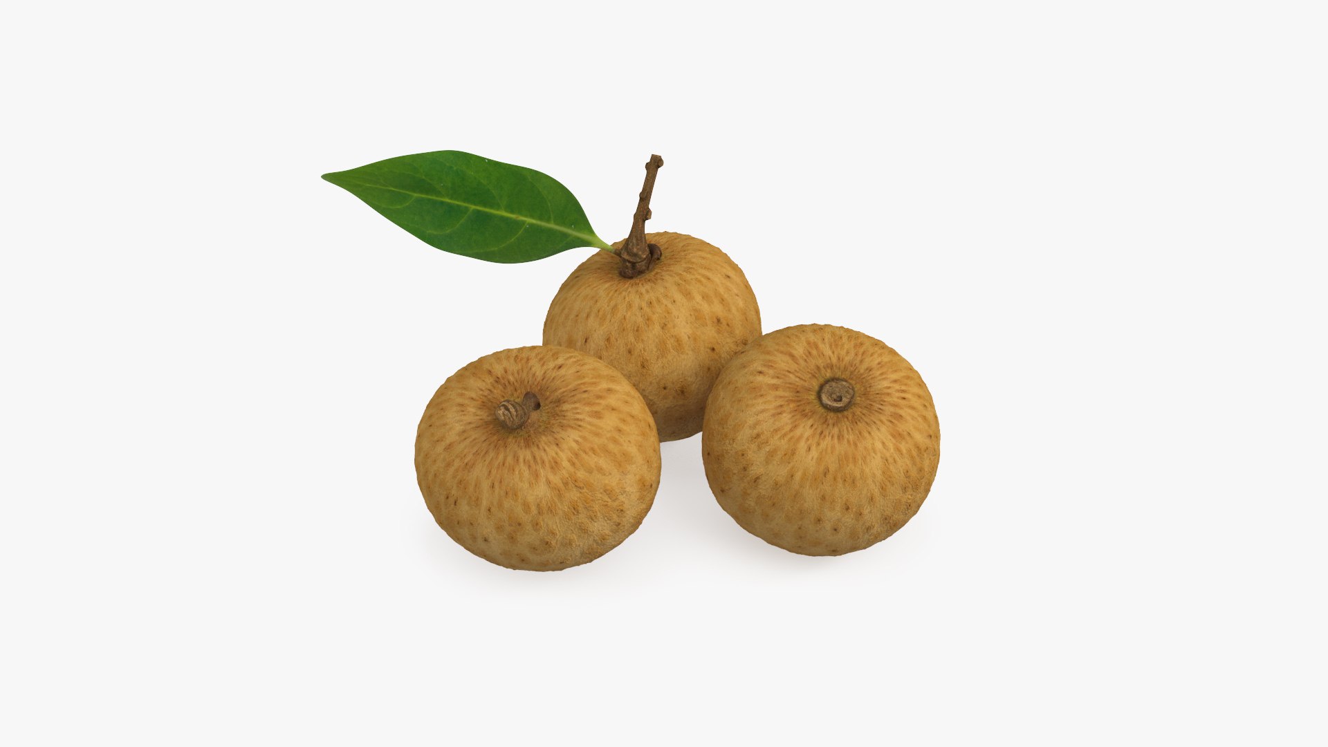 Tropical Fruit Longan Set 3D model preview