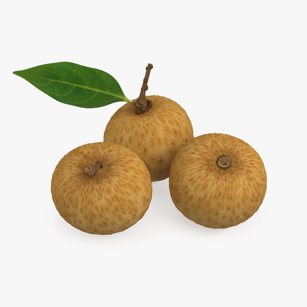 modelo 3d Conjunto Longan de frutas tropicales - TurboSquid 2198590