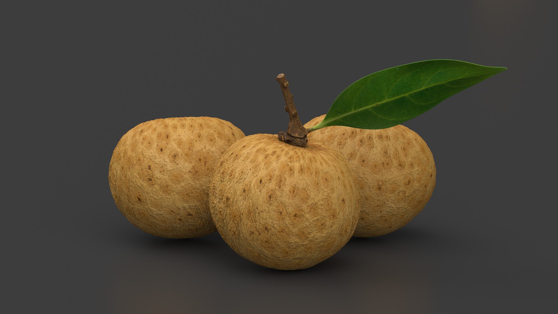 Tropical Fruit Longan Set 3D Model - TurboSquid 2198590