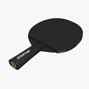 ping pong paddle 3d max
