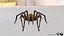 3D model Rigged spider