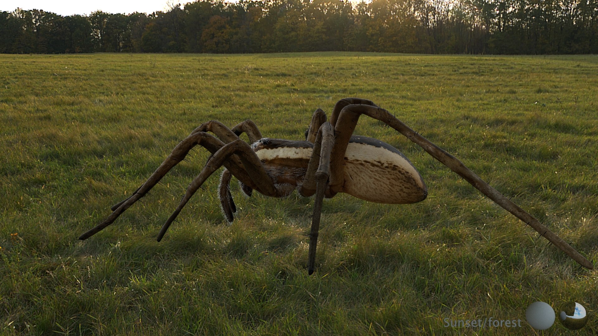3D model Rigged spider https://p.turbosquid.com/ts-thumb/oG/tfaCIb/GM/002/jpg/1747642284/1920x1080/fit_q87/dcb67c4cd2f44aaee6ee6fa3dc4ad1906f7d1a27/002.jpg