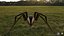 3D model Rigged spider