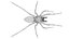 3D model Rigged spider