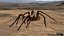 3D model Rigged spider