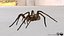 3D model Rigged spider