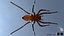 3D model Rigged spider