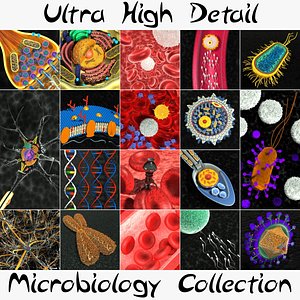 ultra microbiology 3d max