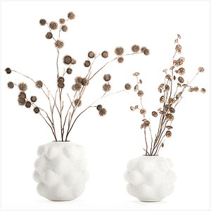 3D Autumn Bouquet Dried Branches Eucalyptus Thorns model