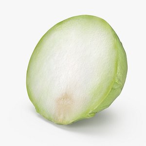 turnip cabbage kohlrabi half 3D model