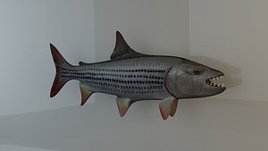 3D tiger fish