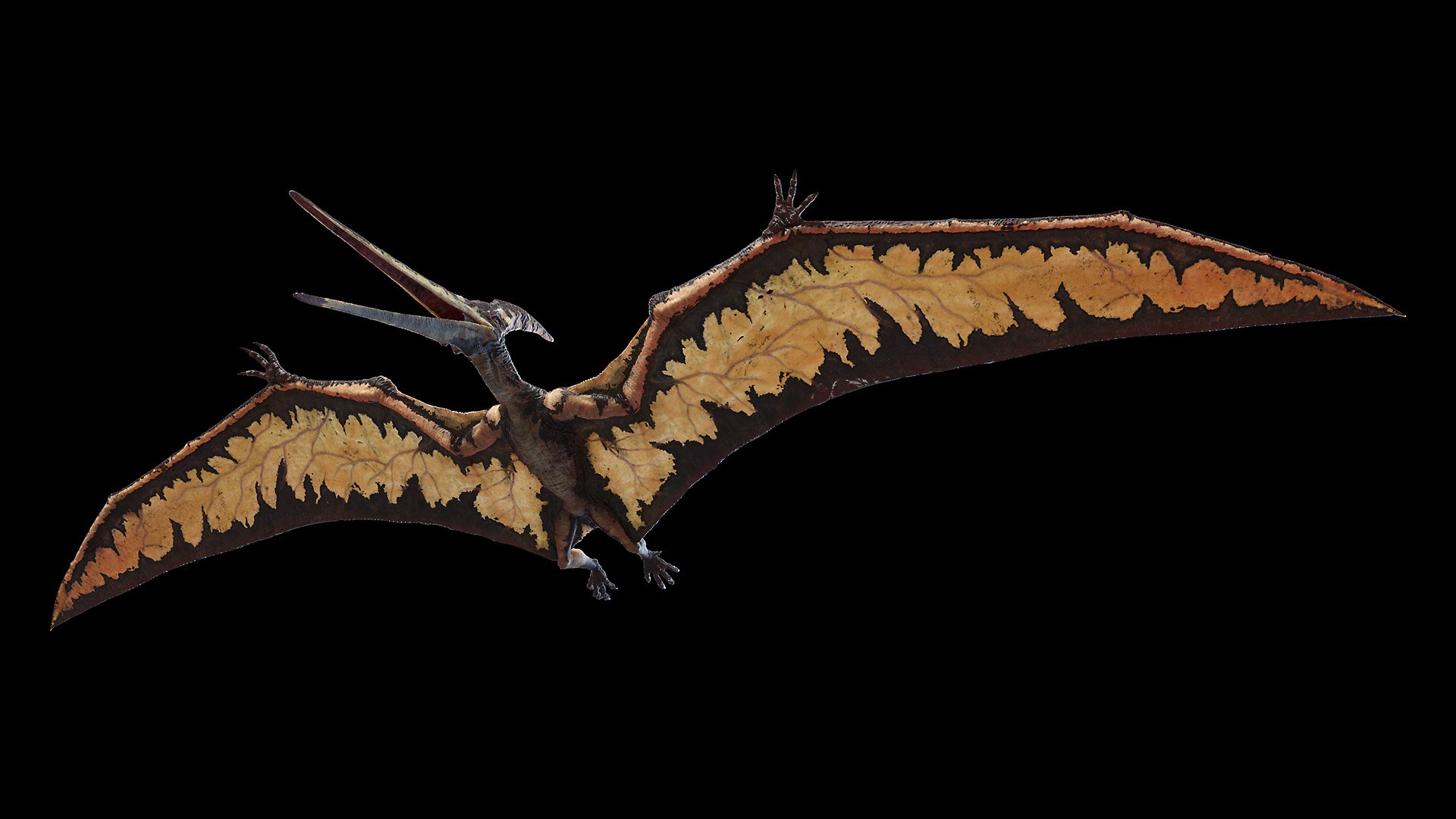 Pteranodon 3D model - TurboSquid 1589226