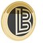 Lendingblock 加密货币金币
