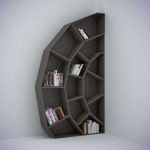 case spider web max