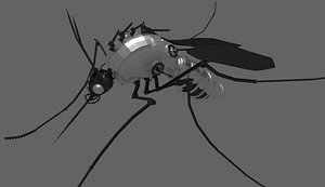 mosquito mechanical mech 3D