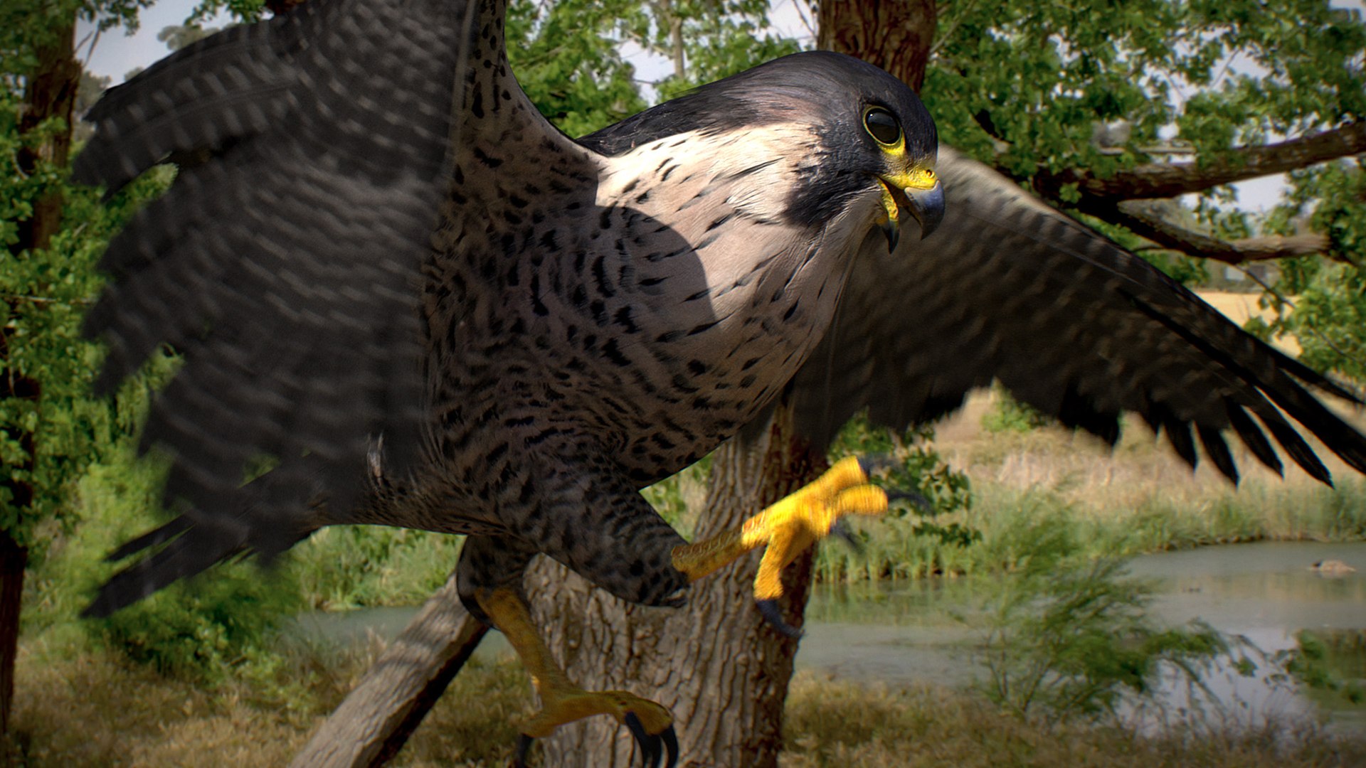 Falcon Animated 3D model https://p.turbosquid.com/ts-thumb/oH/blYS13/56/falcon_29/jpg/1789377768/1920x1080/fit_q87/0c7a8c6ab9ee62bd213b7e9de2ddf4b6ff87e762/falcon_29.jpg