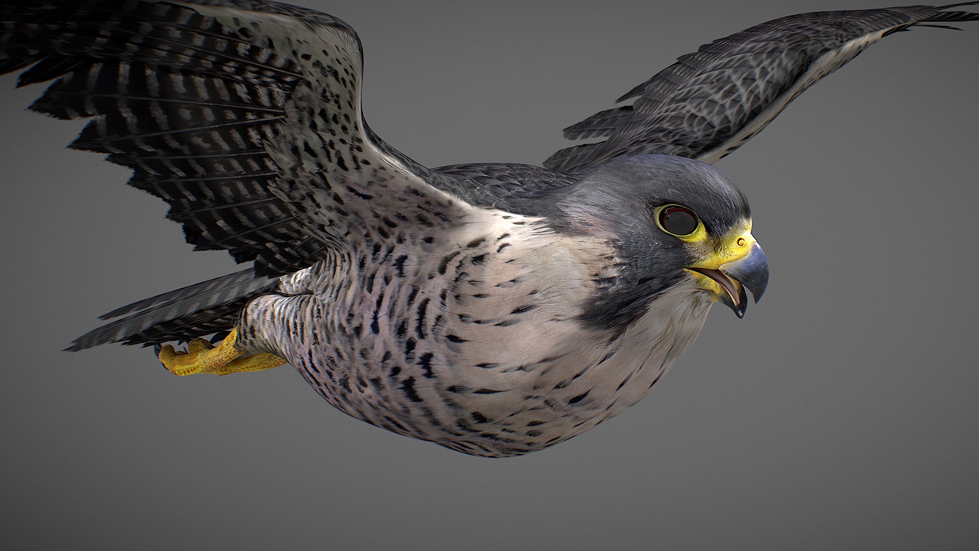 Falcon Animated 3D model https://p.turbosquid.com/ts-thumb/oH/blYS13/7X/falcon_11/jpg/1789377759/1920x1080/fit_q87/ae34491423804a323562a06992e5d7ab5b2e67cb/falcon_11.jpg