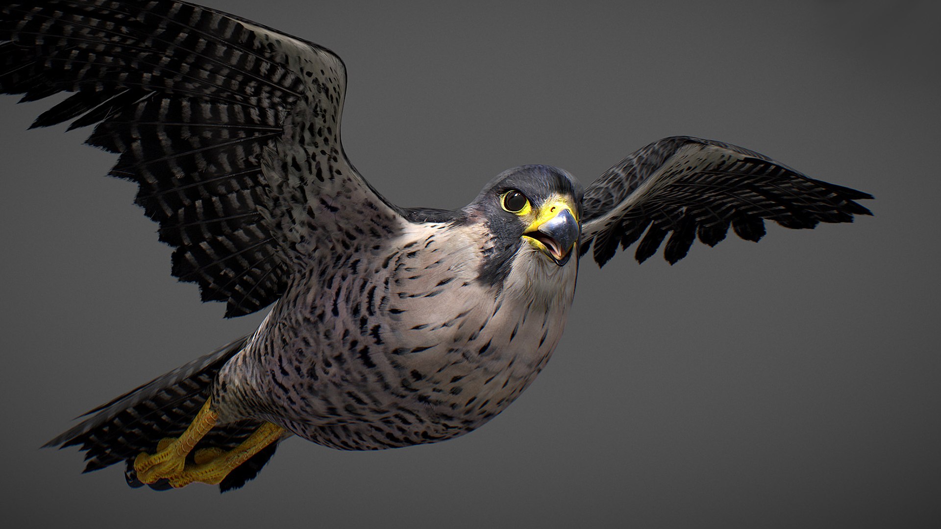 Falcon Animated 3D model https://p.turbosquid.com/ts-thumb/oH/blYS13/7n/falcon_13/jpg/1789377760/1920x1080/fit_q87/7b02a7ebb988309ea20d3da953a872eb5725c7e3/falcon_13.jpg