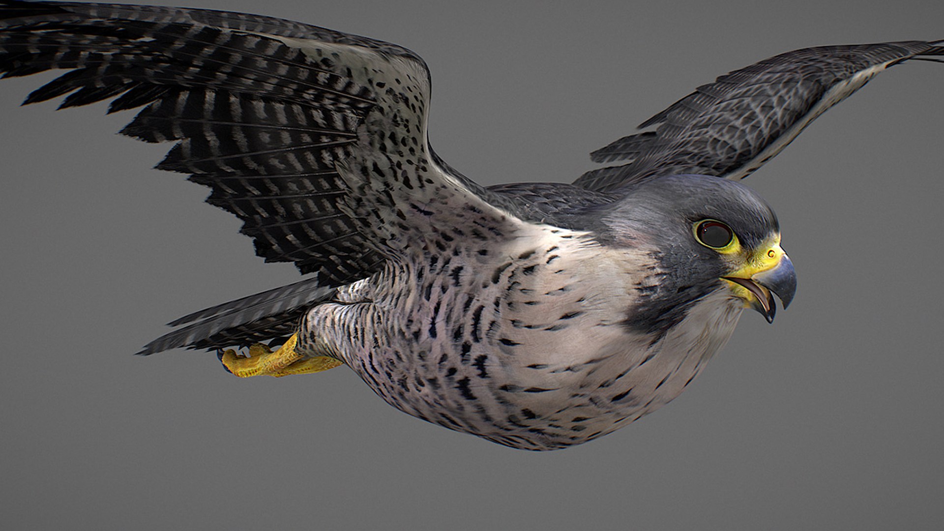 Falcon Animated 3D model https://p.turbosquid.com/ts-thumb/oH/blYS13/IJ/falcon_21/jpg/1789377764/1920x1080/fit_q87/1ccfc785bdccd0b2982d14dbc457314b5d958eac/falcon_21.jpg
