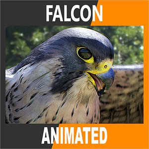 Falcon Animated