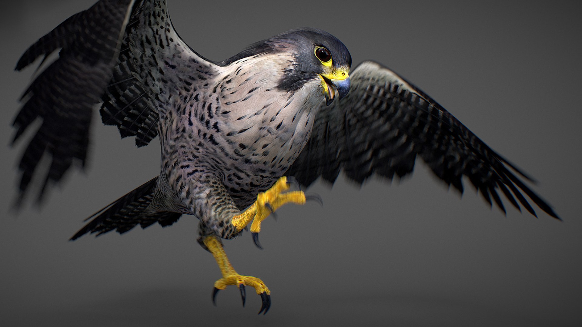 Falcon Animated 3D model https://p.turbosquid.com/ts-thumb/oH/blYS13/PT/falcon_30/jpg/1789377768/1920x1080/fit_q87/33cf59e458183e5726b7f3dda7bb62427c5ee50a/falcon_30.jpg