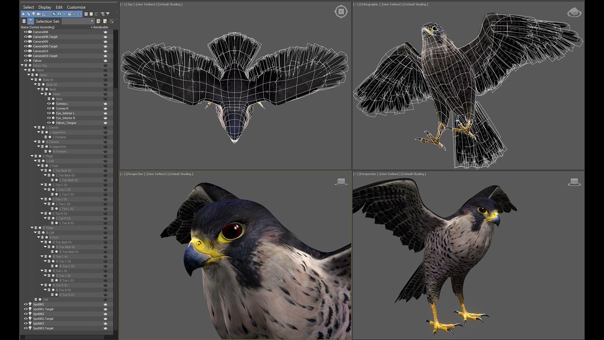 Falcon Animated 3D model https://p.turbosquid.com/ts-thumb/oH/blYS13/Sb/falcon_05/jpg/1789377756/1920x1080/fit_q87/e85101c174577f171d0ebb5a8b8108243aa82f68/falcon_05.jpg