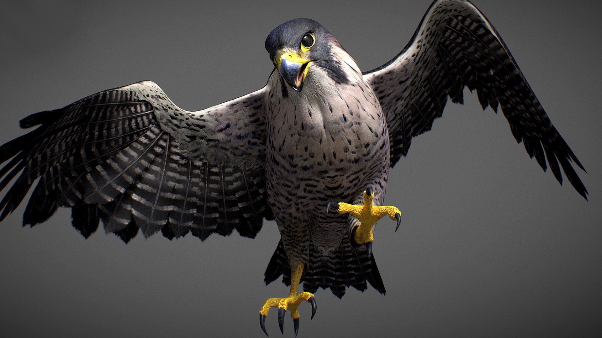 Falcon Animated 3D model https://p.turbosquid.com/ts-thumb/oH/blYS13/W9/falcon_22/jpg/1789377764/1920x1080/fit_q87/1676f44913627ec32a357cb9d29f9f974cbe97f5/falcon_22.jpg