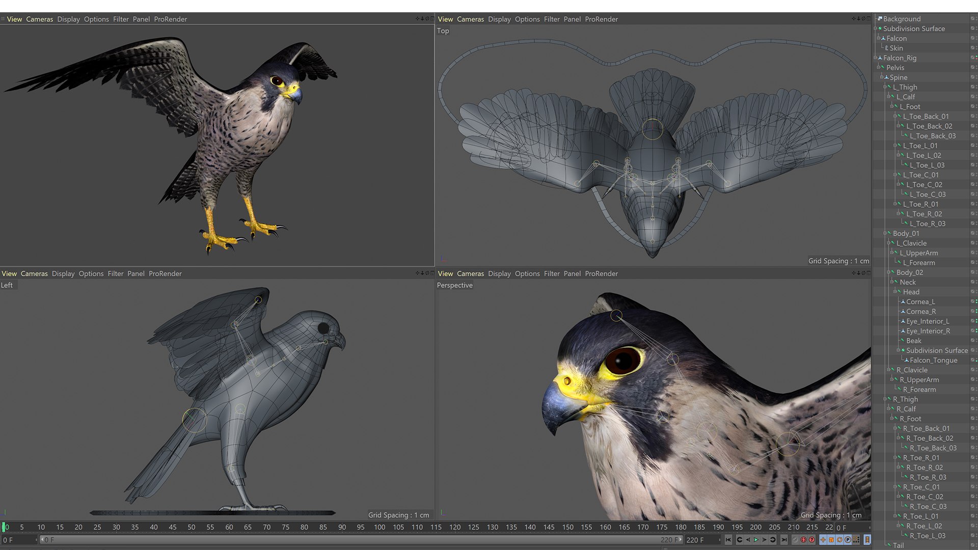 Falcon Animated 3D model https://p.turbosquid.com/ts-thumb/oH/blYS13/jj/falcon_08/jpg/1789377757/1920x1080/fit_q87/2e556c161302c60696bf8b2bdd70ee5a4cc3814a/falcon_08.jpg